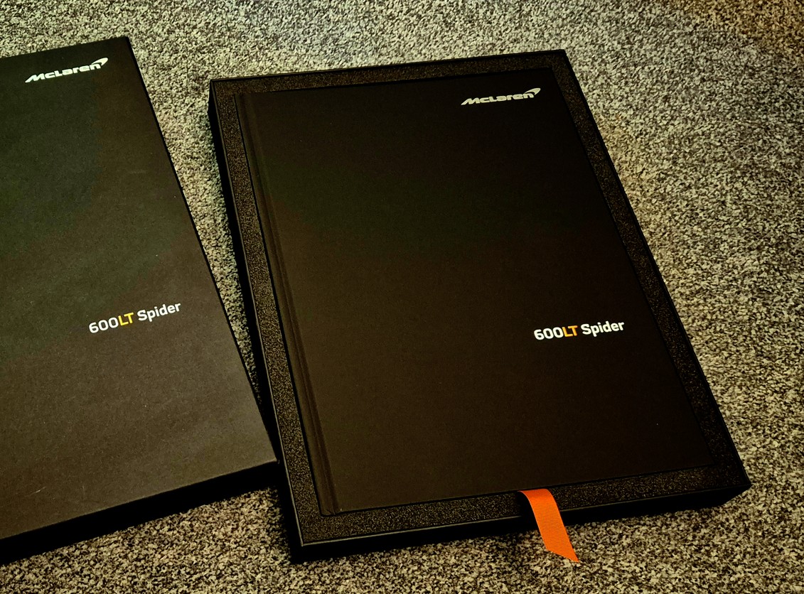spider-book-1